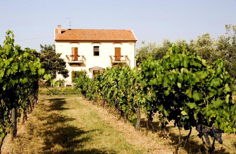 Exterior & Views 2, Agriturismo La pulledraia, Grosseto