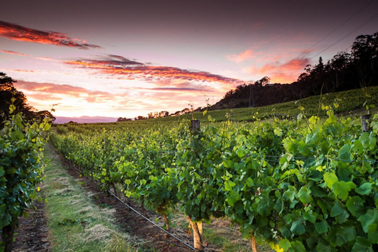 Others 5, River Vineyard Retreat, West Tamar - Pt A