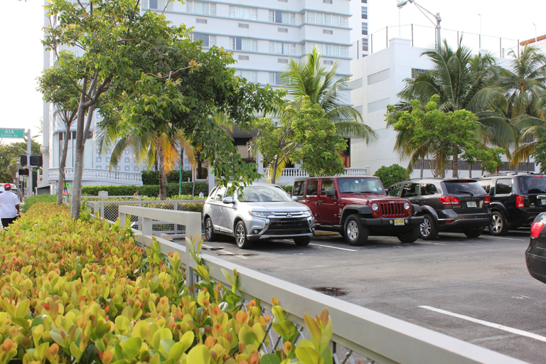 Others 5, Lexington by Hotel RL Miami Beach, Miami-Dade