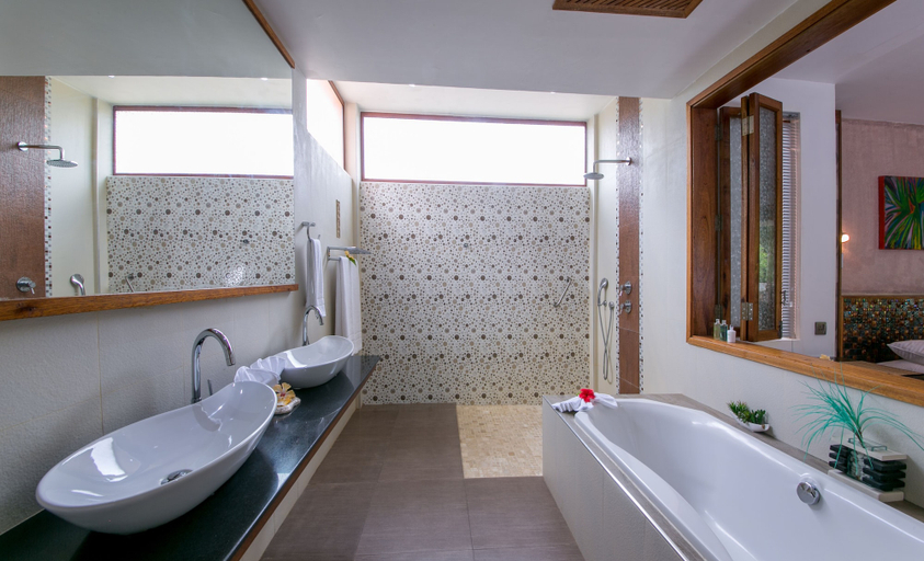 Bathroom 5, Le Duc de Praslin