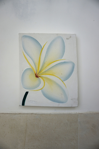 unknown 6