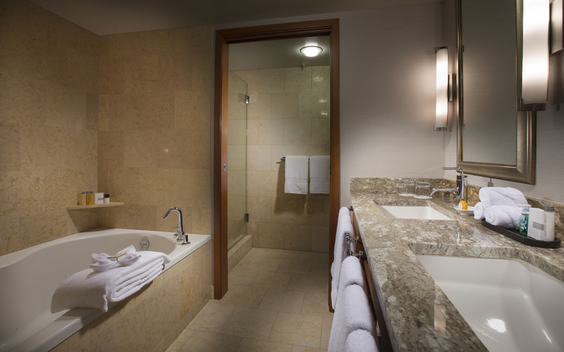 Bathroom 5, The Paramount Hotel, Seattle