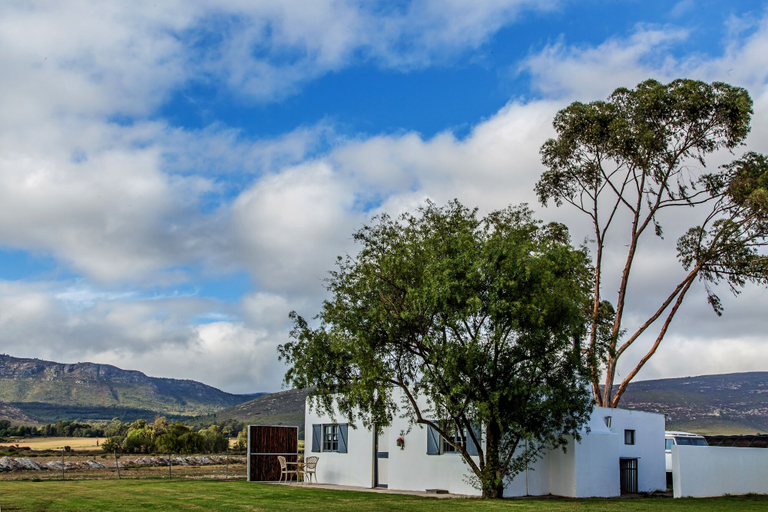 Exterior & Views 2, Shanzeley Guest House, Eden