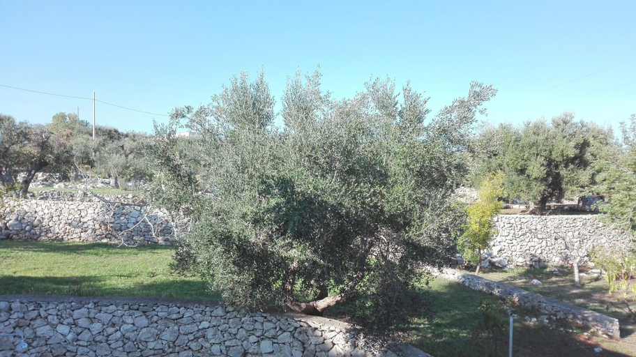 Others 5, Villa Giulia, Lecce