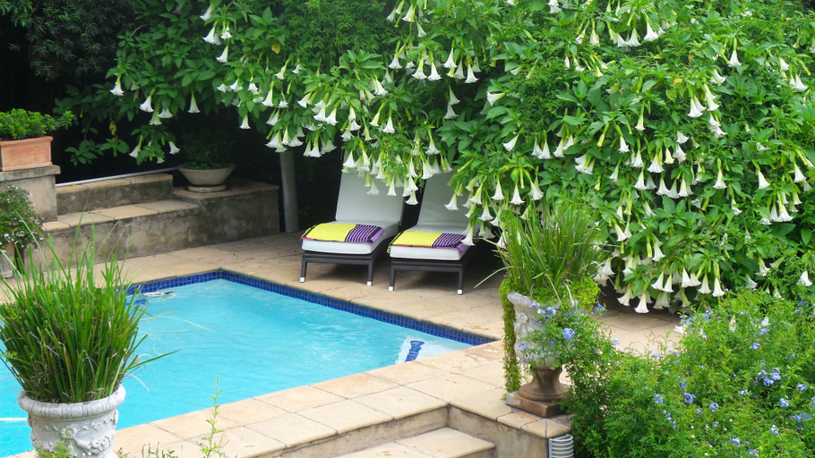 Sport & Beauty 4, Melrose Executive Suites, City of Johannesburg