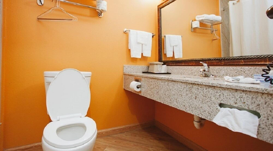 Bathroom, Palace Inn, Houston