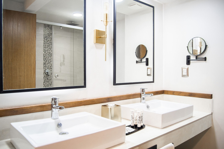 Bathroom 4, Gran Plaza Hotel & Convention Center, Guanajuato
