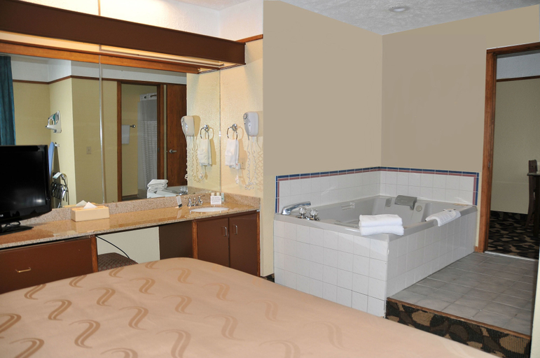 Bathroom 4, Quality Inn Paradise Creek Pullman, Whitman