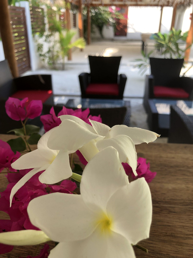 Food & Drinks 5, Tropical Sands Kelaa, Haa Alifu Atoll