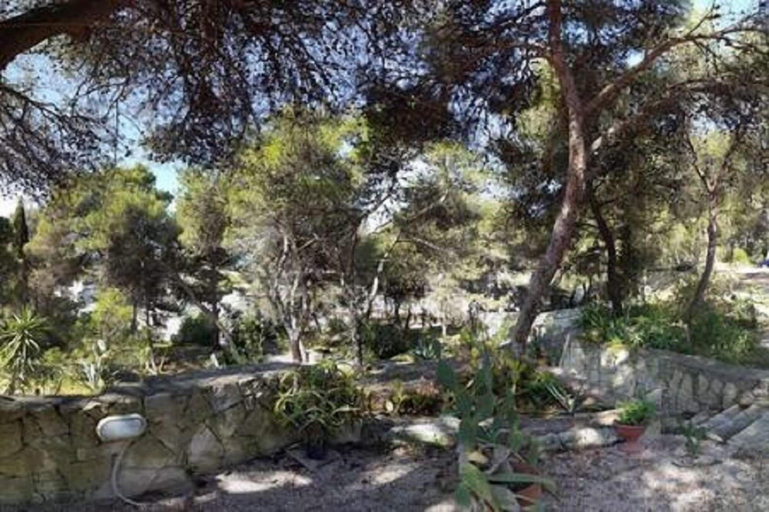 Others 5, Trullo in the Wood, Lecce