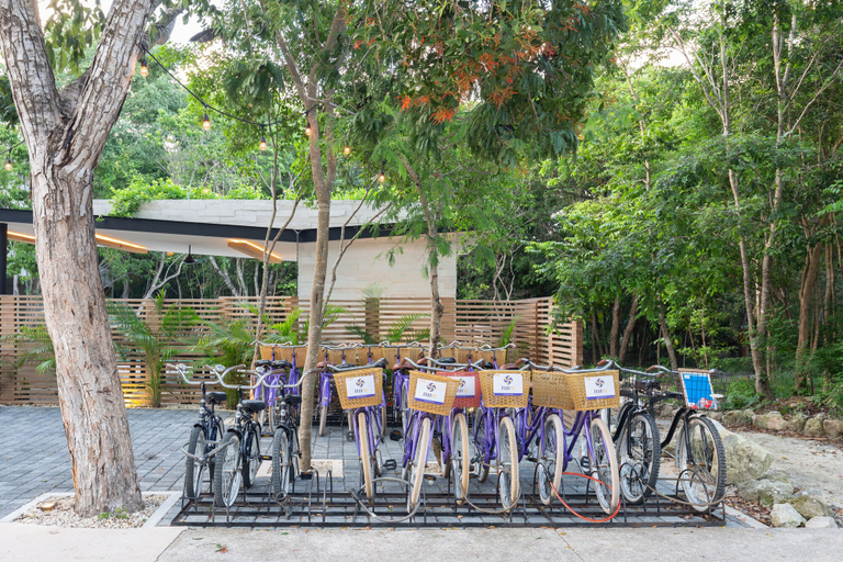 Food & Drinks, Casa Sol 1BR by the Pool - Attha Cenote, Cozumel