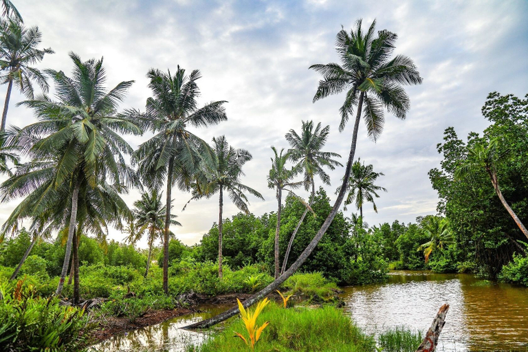 Others 5, Milkyway Holiday Resort, Habaraduwa