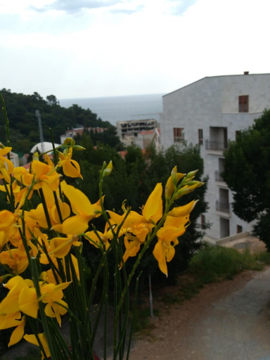 Exterior & Views 2, Apartments Jovanovic