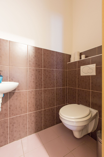 Bathroom 3, Premier Apartment near Museum, Praha 1