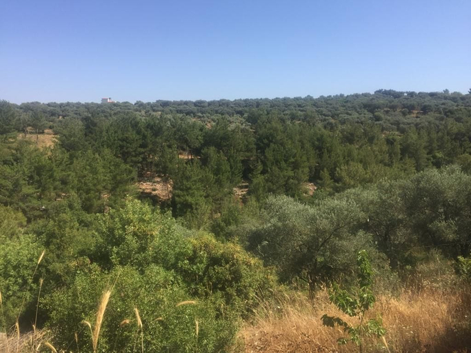 Others 3, Ahla Vert View, Zgharta