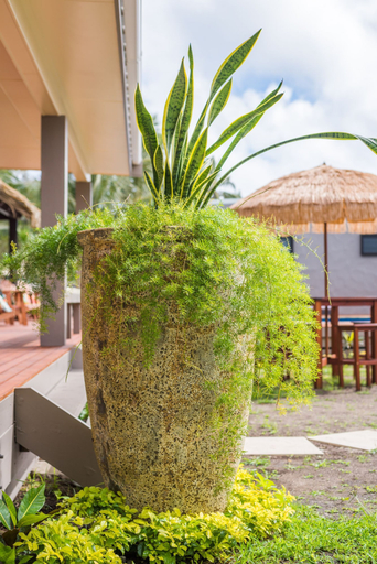 Exterior & Views, Cook Islands Holiday Villas Turangi, Rorotonga