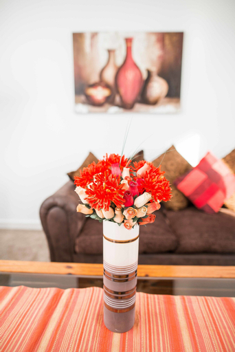 Food & Drinks, Gallowgate Apartment, Aberdeen