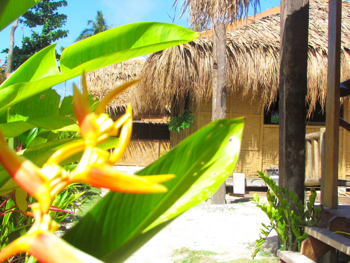 Others 4, Siargao Tropic Hostel, General Luna