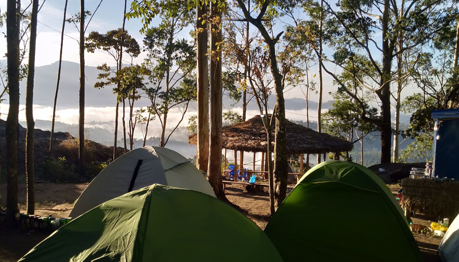 Others 1, Munnar Jungle Camp, Idukki