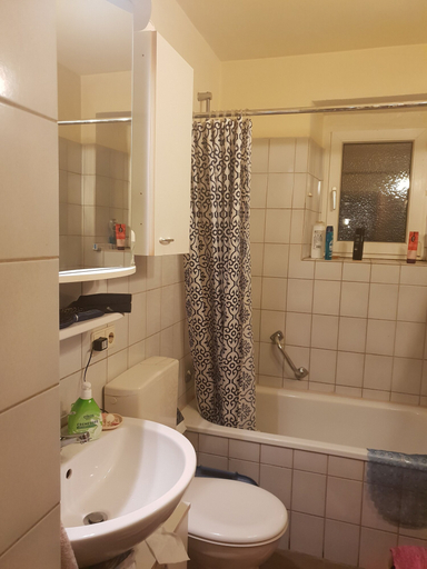 Bathroom, Lakeside Smoker Apartment FDH, Bodenseekreis