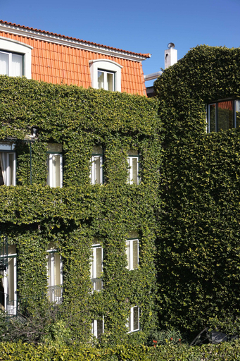 Exterior & Views 1, Heritage As Janelas Verdes Inn - Riverside, Lisbon
