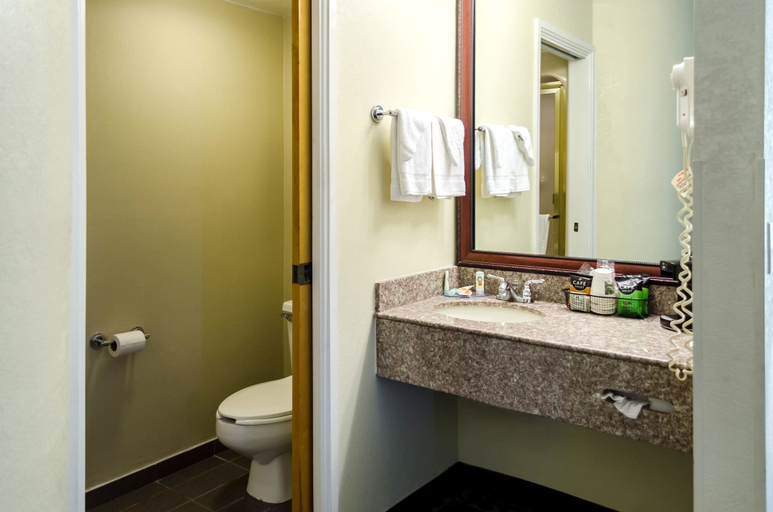 Bathroom 4, Quality Inn Meridian, Lauderdale