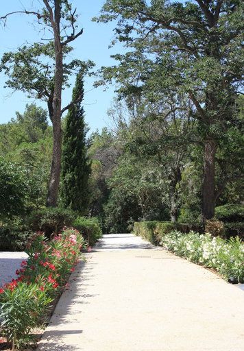 Others 5, Le Domaine de la Mandoune, Hérault
