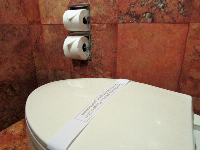 Bathroom 5, Best Western Hotel Posada Del Rio Express, Torreón