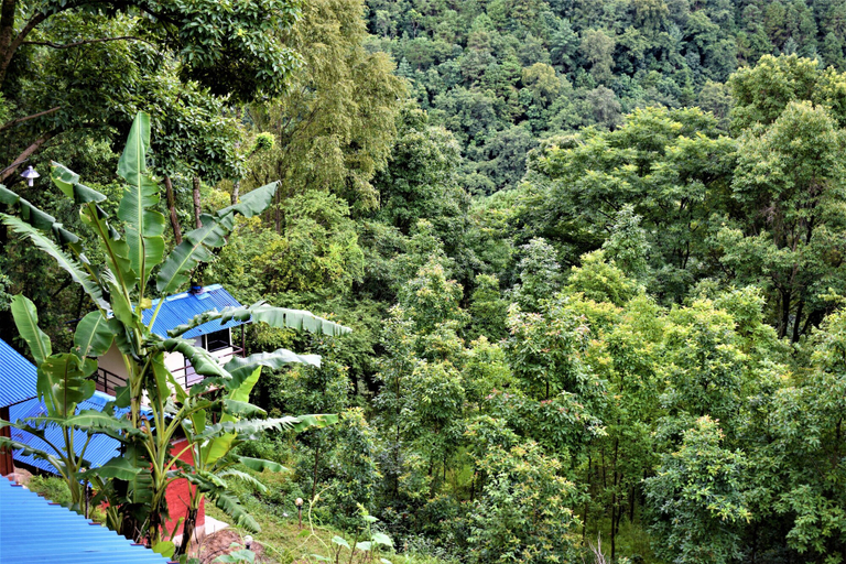 Others 5, Jungle Crown Organic Homestay, Bagmati