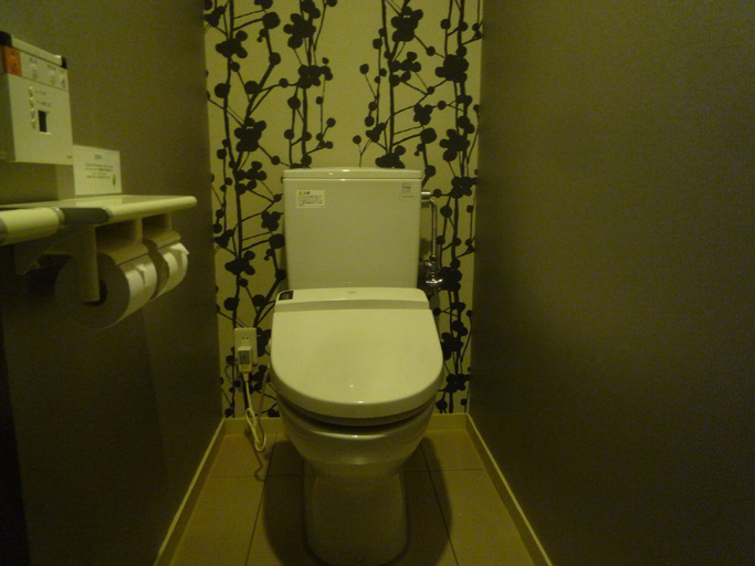 Bathroom 4, Ryokan Sensyoen, Asahikawa