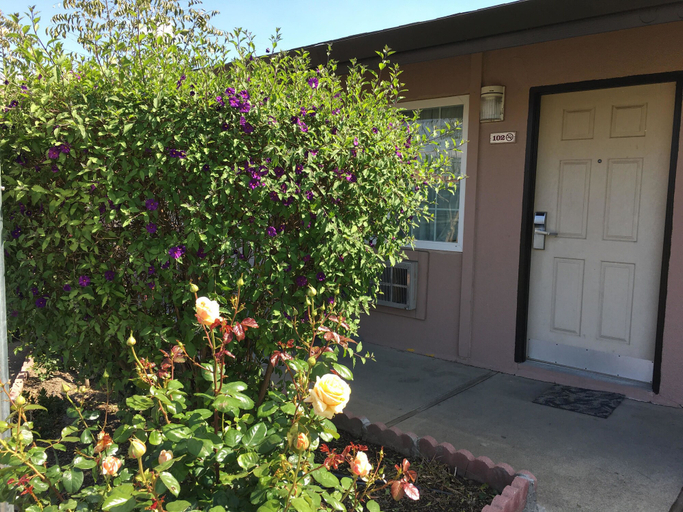 Exterior & Views 2, Maple Inn & Suites, Merced