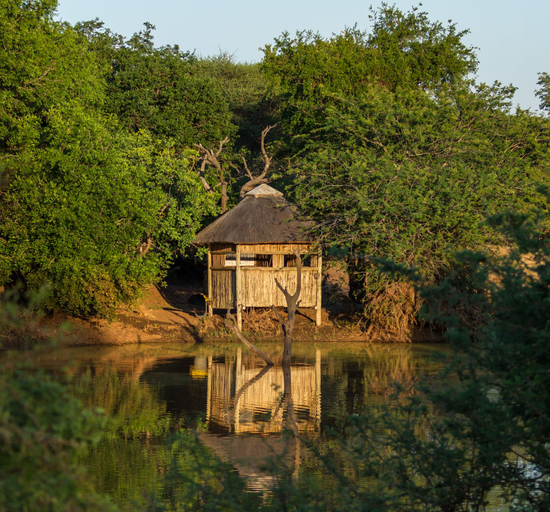 Exterior & Views 2, The Dreamcatcher Lodge, Mopani