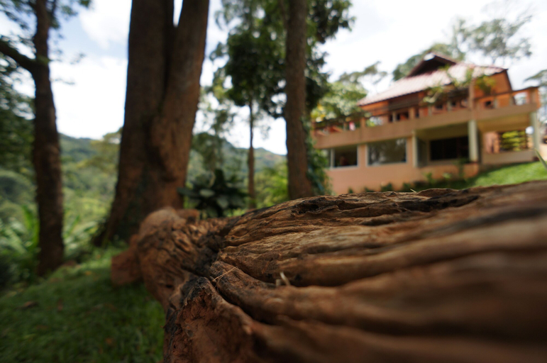 Exterior & Views 2, Mok Far Mont Ngo Resort, Mae Taeng