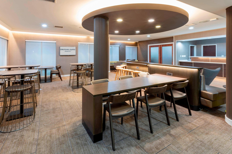 Food & Drinks 5, SpringHill Suites by Marriott Rochester-Mayo Clinic/St Marys, Olmsted