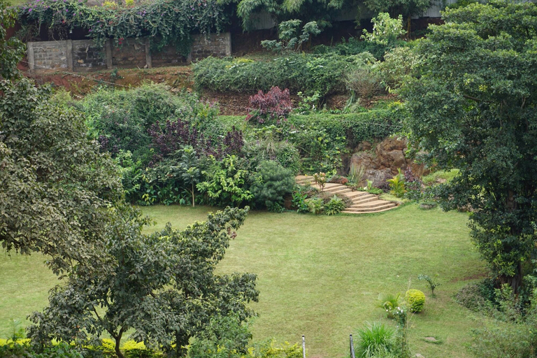 Others 4, La Miguela Guest House, Kiambaa