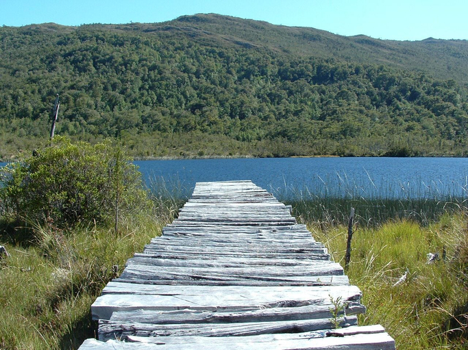 Others 5, Isla Jechica, Aisén