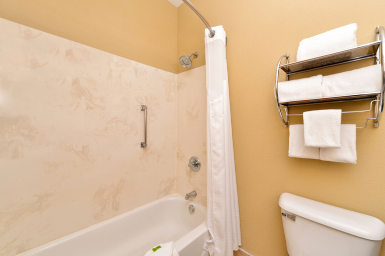 Bathroom 4, Comfort Inn & Suites Sharonville - Cincinnati North, Cincinnati
