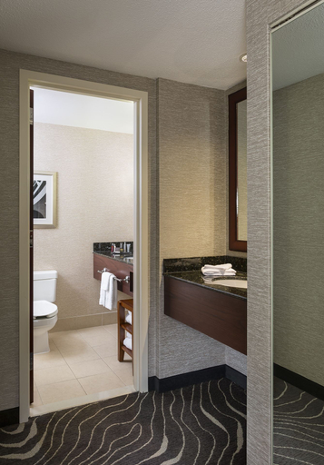 Bathroom 4, Marriott Rochester Mayo Clinic, Olmsted