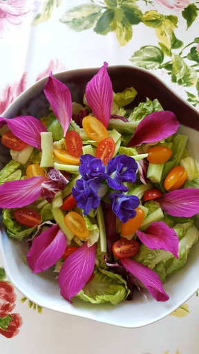 Food & Drinks 5, Phu Vara, Chiang Dao