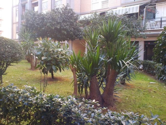 Others 5, B&B RomAntica Home, Rome