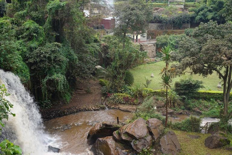 Others 3, La Miguela Guest House, Kiambaa
