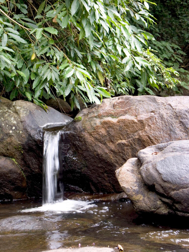 Others 4, Elephant Valley, Dindigul