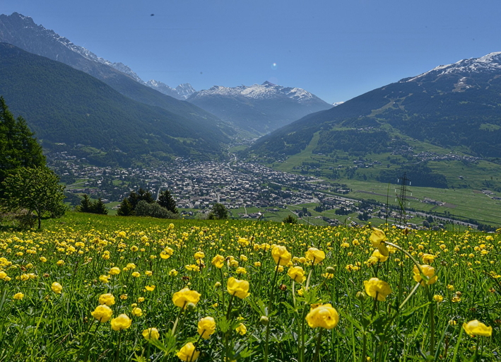 Others 5, Holiday House Erika, Sondrio