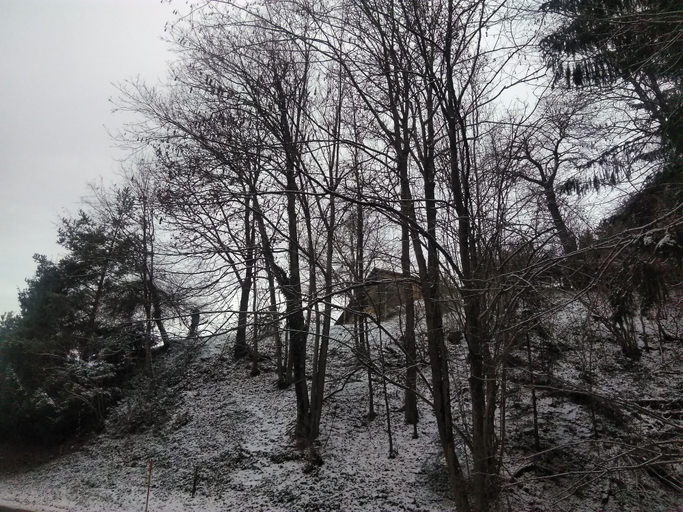 Others 5, Apartment Jorsi With Mountain View, Zrece