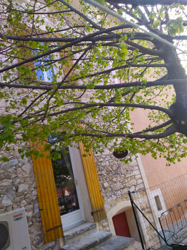 Exterior & Views 2, Face au Lavoir, Vaucluse