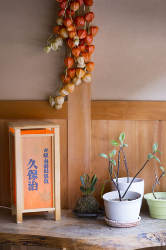 Others 4, Ryokan Kuboji, Tenkawa