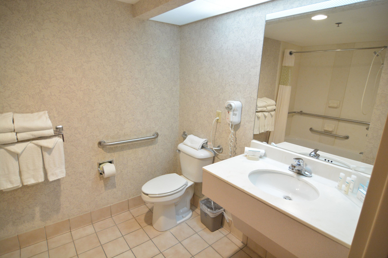 Bathroom 5, Hampton Inn Greeneville, Greene