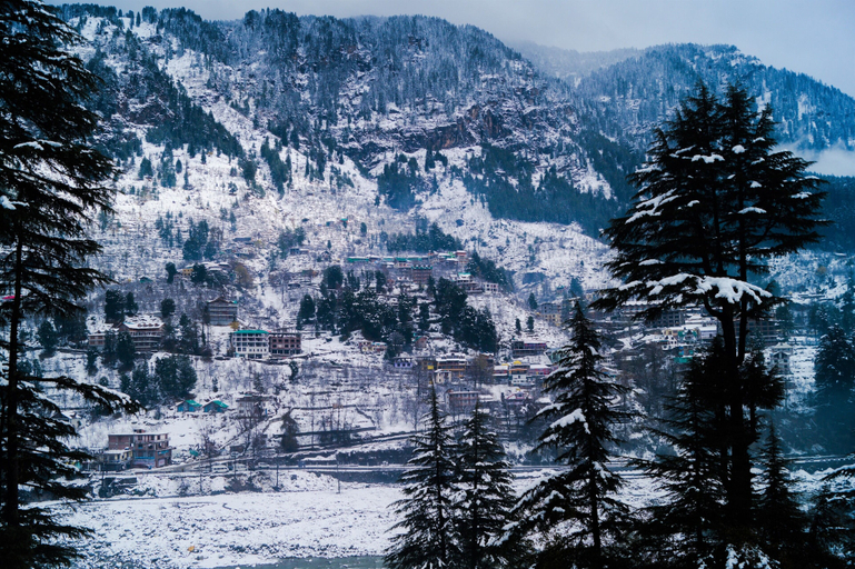 Others 5, Alt Life Manali, Kullu