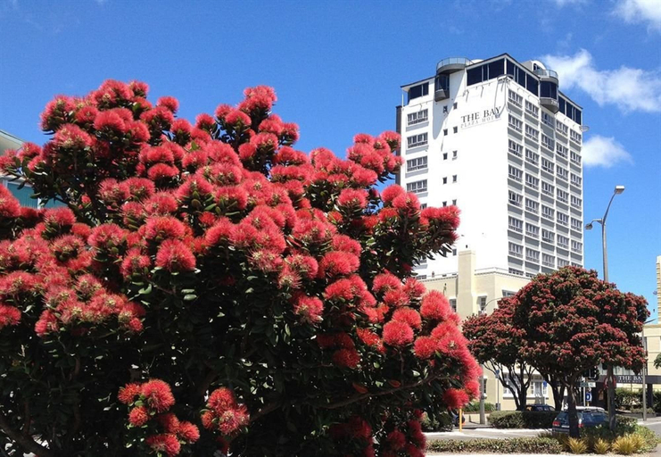 Others 1, Bay Plaza Hotel, Wellington