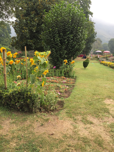 Others 5, Gemini Group Of Houseboats, Srinagar